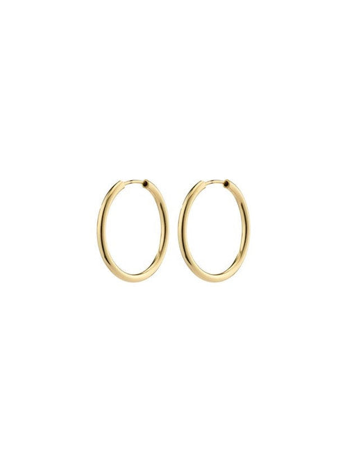 PILGRIM April Recycled Small Hoop Earrings