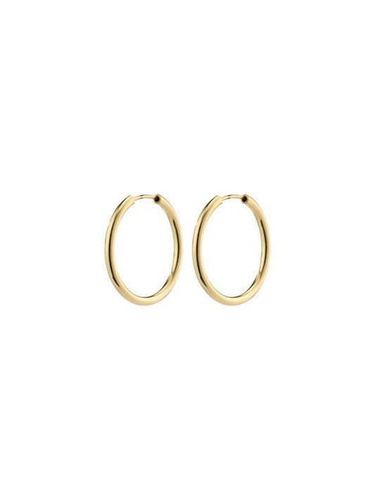 PILGRIM April Recycled Small Hoop Earrings